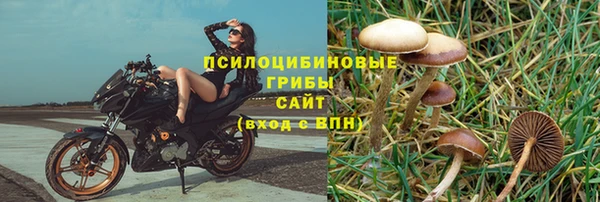 трава Алексин
